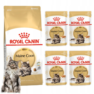 Royal Canin Maine Coon Krmivo pre dospelé mačky suché 0,4 kg + mokré 4x85 g