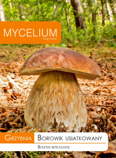 Mycélium hríb sieťovaný mycélium 10 g