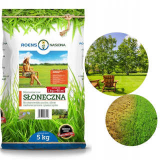 SLNEČNÁ TRÁVA ODOLNOSŤ PROTI SUCHU SLNEČNÝ TRÁVNIK PRO SEEDS 10KG