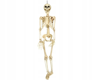Kostra, lebka Halloween - 90 cm visiaci kostra