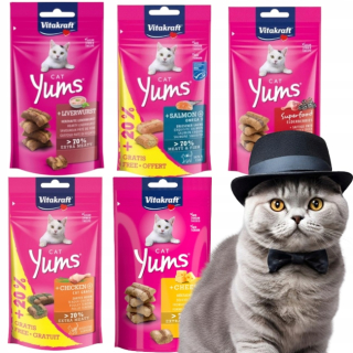 Vitakraft Cat Yums SYROVÁ pochúťka pre mačky 40g