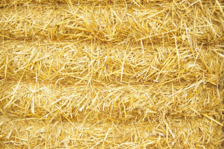 ECO STRAW - Podstielka pre psa, hlodavce, chovateľská stanica pre kurčatá