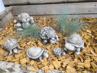 Sadrové korytnačky sadrové figúrky záhradné korytnačky SET 3D dekorácie