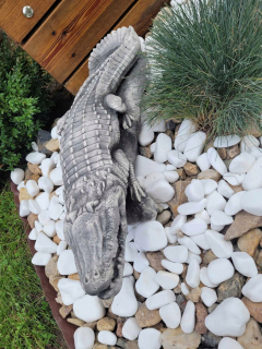 Záhradná figúrka veľká sadrový krokodíl záhradná dekorácia aligátor CROCODILE