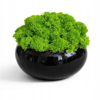 Keramická guľa so stabilizovanou dutohlávkou, 12 cm