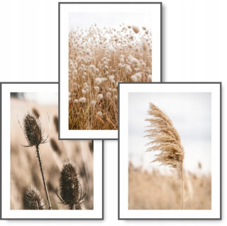 Sada 3 boho plagátov KMBpress #14 suchá tráva 50 × 70 cm