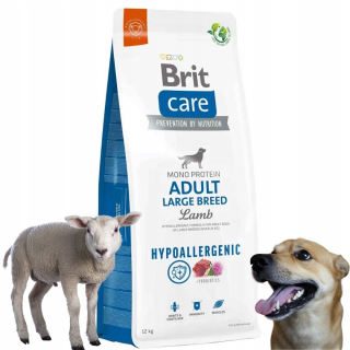 BRIT CARE HYPOALERGÉNNE DOSPELÉ VEĽKÉ LAMB JAGNIĘCINA 12 KG