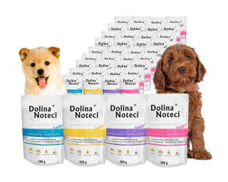 DOLINA NOTECI Premium Junior mokré krmivo pre psov Mix of Flavors 40 x 100g