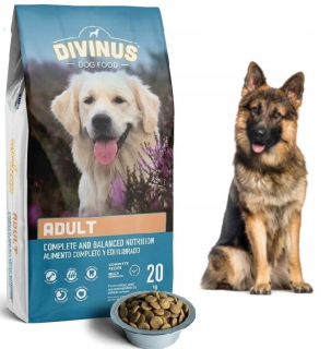Divinus suché krmivo mix príchutí 20 kg